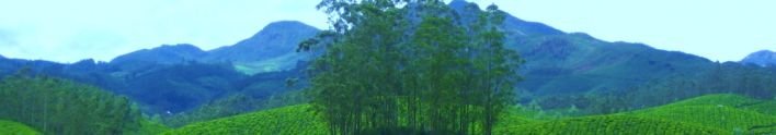 Munnar